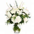 Ivory Remembrance