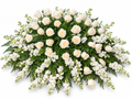 Graceful Farewell ivory roses and cascading white flowers full casket arrangement