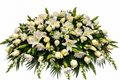 Ivory Eternal Grace all-white casket spray with roses, lilies, chrysanthemums, hydrangeas, and greenery