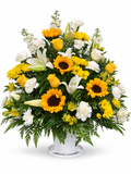 Sunflower Garden Tribute with yellow and white flowers in a white container